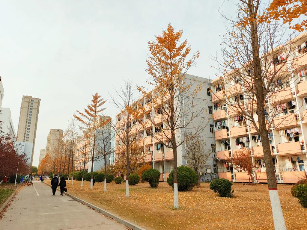 学生风采